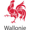 Logo Wallonie
