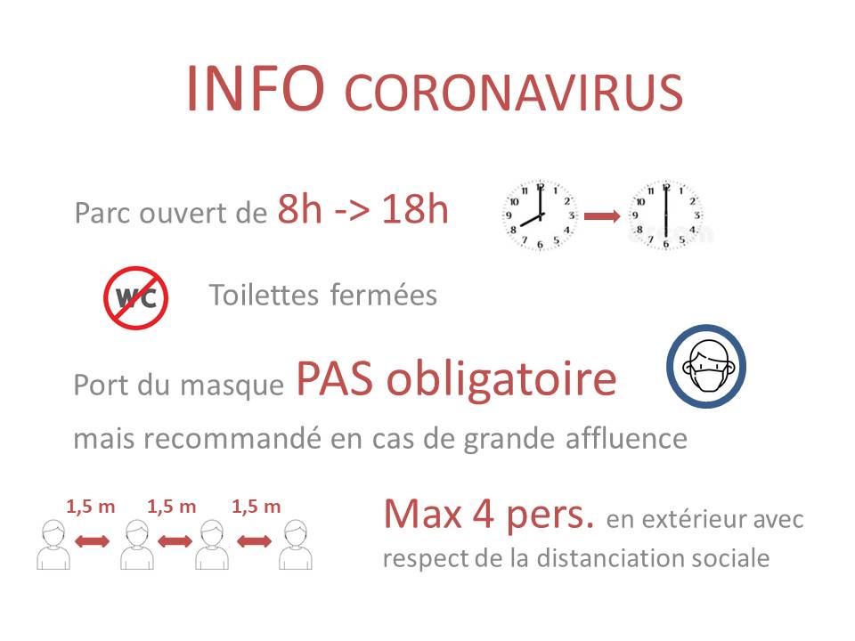 Coronavirus - Recommandations